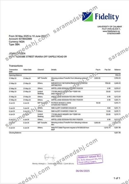 Nigerienia Fidelity bank statement Word and PDF template, version 2